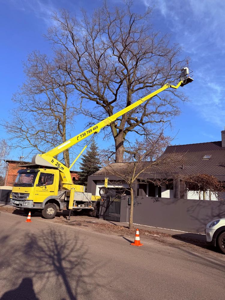 Podnośnik koszowy na podwoziu Mercedes 26m