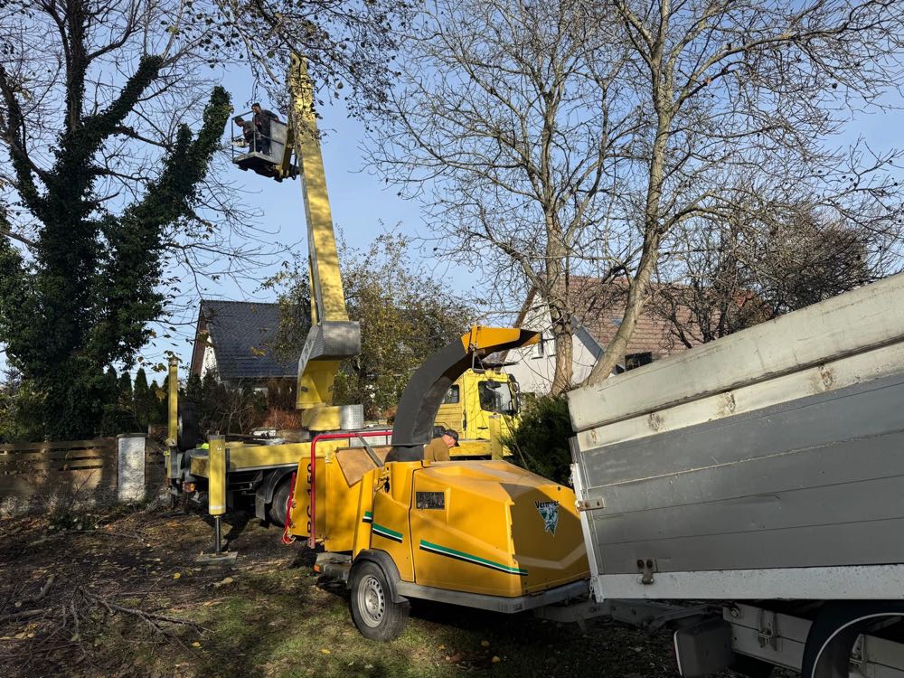 Rębak do drewna w akcji