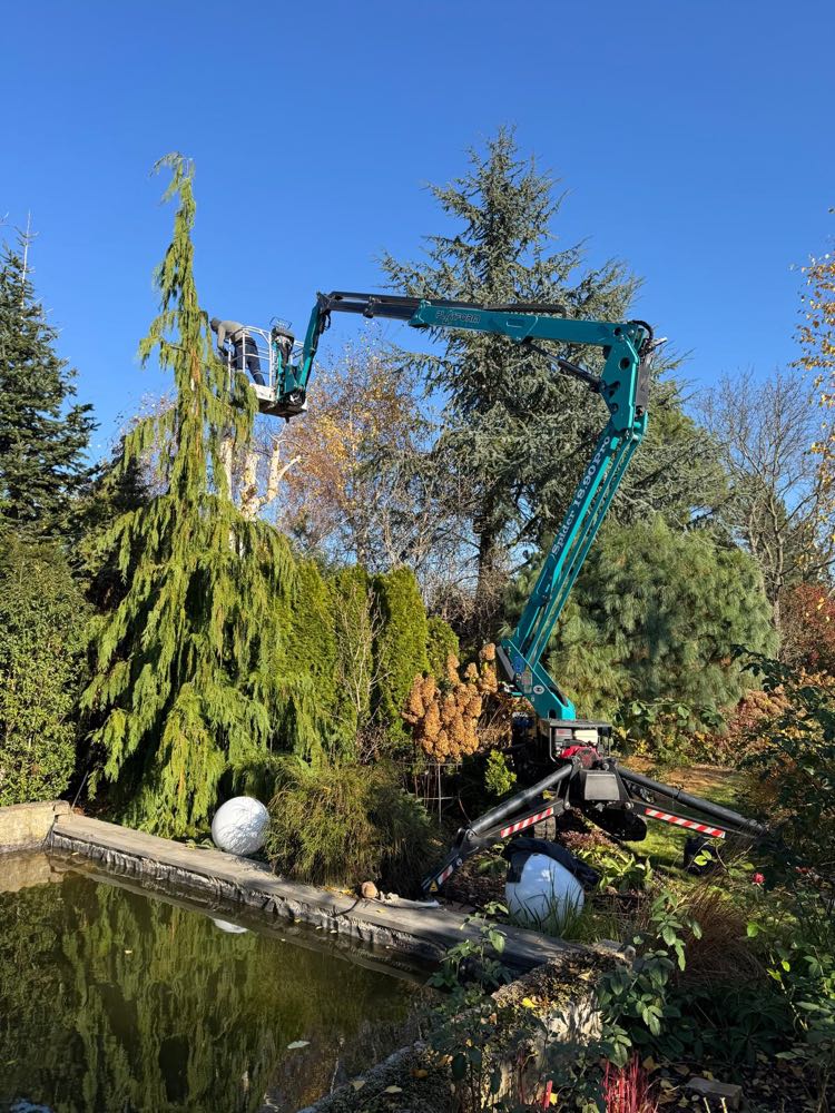 Spider lift gąsienicowy w ogrodzie