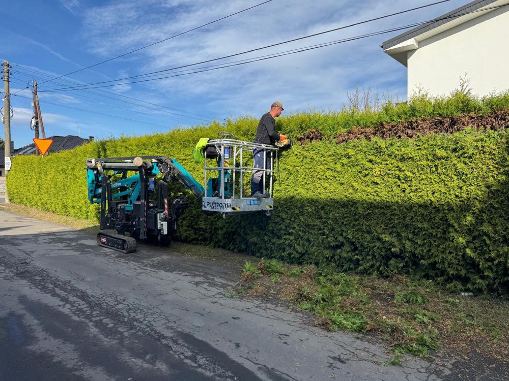 Spider lift przy przycinaniu żywopłotu